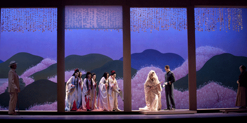 Butterfly_ROH_2011_03.gif