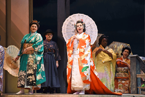 M-Butterfly-1.png